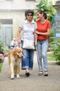 Bild på två personer där den ena har en gul ledarhund.